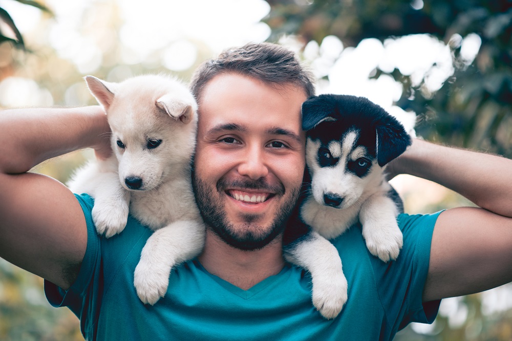 Tech with puppies Tech with puppies